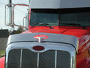 PETERBILT 386 SS BUG SHIELD
