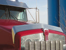 STAINLESS STEEL KENWORTH T800 BUG SHIELD
